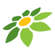 SAKURA MOD APK